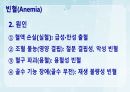 성인간호학(혈액질환,은하출판사) 11페이지