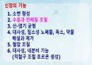 성인간호학(비뇨생식기계질환,은하출판사) 7페이지