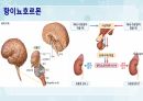 성인간호학(비뇨생식기계질환,은하출판사) 13페이지