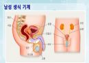 성인간호학(비뇨생식기계질환,은하출판사) 55페이지