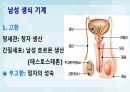 성인간호학(비뇨생식기계질환,은하출판사) 56페이지
