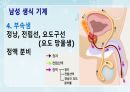 성인간호학(비뇨생식기계질환,은하출판사) 58페이지