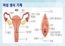 성인간호학(비뇨생식기계질환,은하출판사) 60페이지