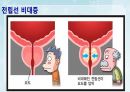 성인간호학(비뇨생식기계질환,은하출판사) 65페이지