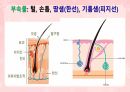 성인간호학(피부계질환,은하출판사) 6페이지