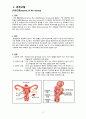 [모성간호학실습] 자궁근종 case A+ 간호과정 2개(이론적근거,참고자료,꼼꼼) 3페이지