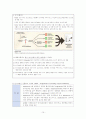 고혈압피피티끝판왕세트 레포트 12페이지