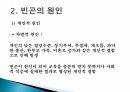 빈곤의 개념과 원인 및 해결방안 10페이지