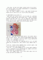 심혈관계 기능장애 아동 29페이지