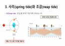 조석(tide)에 대한 지구과학적 자료를 ppt파일로 만든 자료입니다. 7페이지