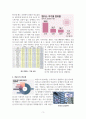 세계 반도체 기업 3페이지