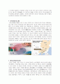 중국의 역사 공정에 대해서 4페이지