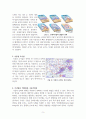 기압과 날씨의 변화 5페이지