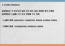 갈등관리,갈등개념의 이해,긍정적 갈등,인간 상호작용 5페이지