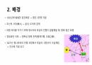 병자호란의 발생 4페이지