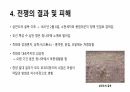 병자호란의 발생 11페이지