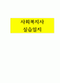 100점 받는 사회복지사 현장실습일지 1페이지