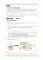 Acute cholecystitis Case study (이미지 포함), 간호진단,과정 각각 2개씩 2페이지