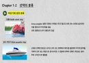 선박의 정의와 분류 12페이지