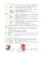 성인간호 Chapter 12. 위장관장애 대상자 12페이지