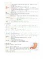 성인간호 Chapter 12. 위장관장애 대상자 19페이지