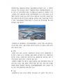 한국지리 [인천의 자연 및 인문 지리] 4페이지