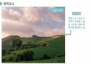 국내 관광지, 여행지 소개 ppt - 안반데기 10페이지