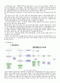 노인복지론 기말고사 레포트 4페이지