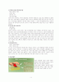 [성인간호학 ] 열상 간호CASE 5페이지