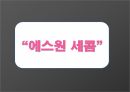보안업체 에스원 세콤 서비스 마케팅 14페이지