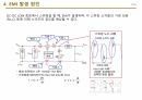 EMC의 기초 이론 12페이지