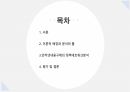 네트워크 ) 인터넷 내용 규제정책의 도입을 둘러싼 네트워크분석 2페이지