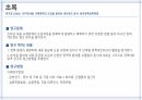 네트워크 ) 인터넷 내용 규제정책의 도입을 둘러싼 네트워크분석 3페이지