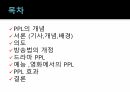 PPL이소비자에게미치는영향,PPL,PPL개념,PPL배경,PPL의도 2페이지