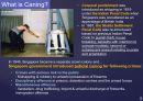 사회과학 ) Caning in Singapore - Is it truly beneficial 3페이지