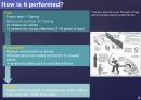 사회과학 ) Caning in Singapore - Is it truly beneficial 4페이지