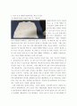 패션디자인 ) 패션디자인 목표와 미적 범주 분석 - 1 3페이지
