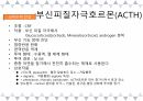 A+받은 [성인간호학]내분비계 정리 PPT 7페이지