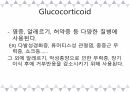 A+받은 [성인간호학]내분비계 정리 PPT 37페이지