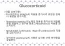 A+받은 [성인간호학]내분비계 정리 PPT 40페이지