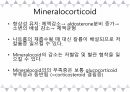 A+받은 [성인간호학]내분비계 정리 PPT 44페이지