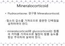 A+받은 [성인간호학]내분비계 정리 PPT 45페이지