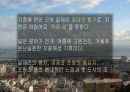 ppt 알제리 튀니지(글꼴 수정) 3페이지