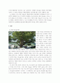 숲과삶 ) 도시화가 진행되면서 우리나라 고유의 마을숲(전통마을숲)이 사라지거나 훼손되어 가고 있다 3페이지