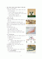 에도 막부의 역사에 대한 정리 2페이지