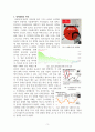 엔저현상과 일본 경제의 쇠퇴 3페이지