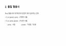 이탈리아어 형용사에 대해서 4페이지