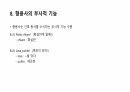 이탈리아어 형용사에 대해서 15페이지