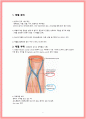 칭찬받는 신규 간호사를 위한 채혈, 검체 용기 한방 정리! 2페이지