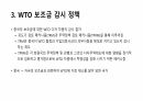 중국 보조금 정책과 대중국 상계관세 조치 10페이지